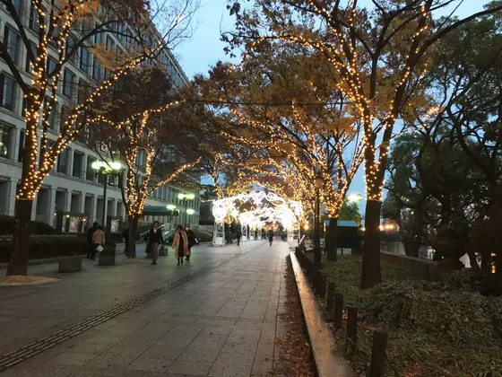 市役所横の通りに光のトンネルが出来てます