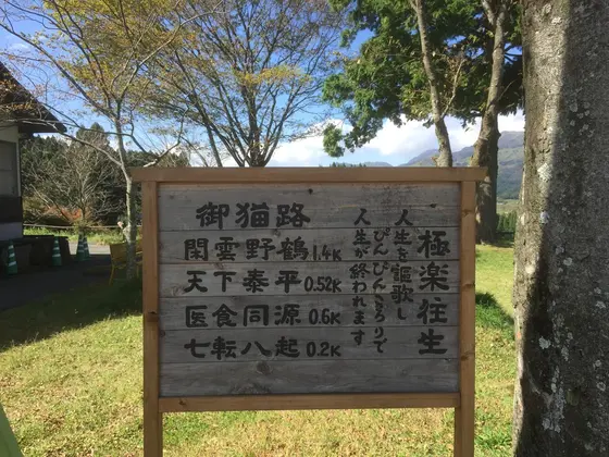 御猫道
