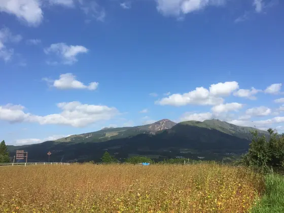 ドライブ中に見つけた良い景色１