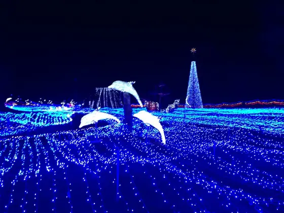 まるで海のよう！