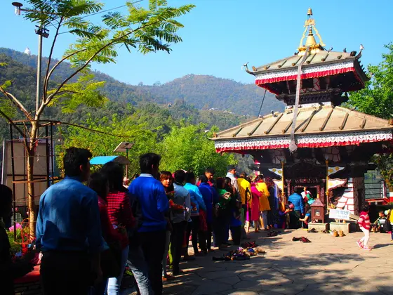 文化への配慮はご注意を。