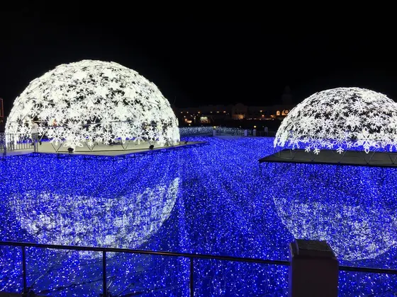プールは光の海