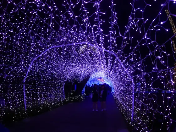 クリスマスもライトアップ