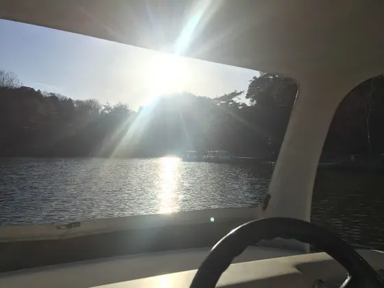 池の上をすいすい💖