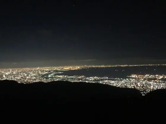 カウンター席からの眺め