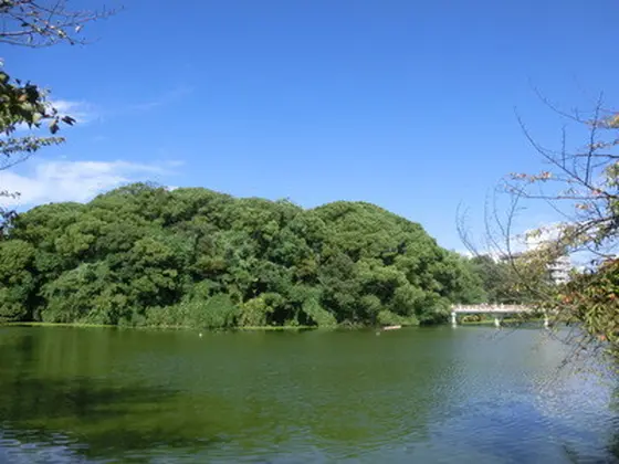 茶臼山