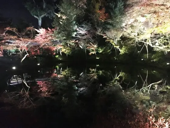 紅葉