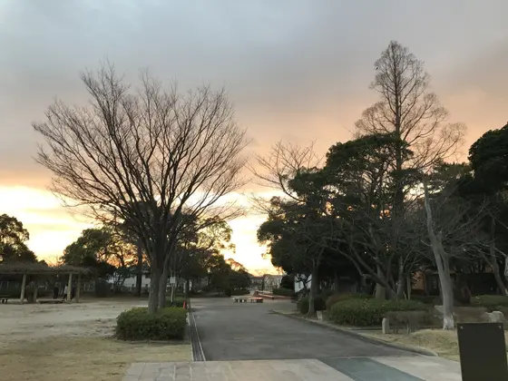 半日だけのちょっとした散策終了
