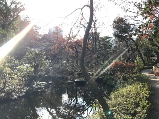 庭園