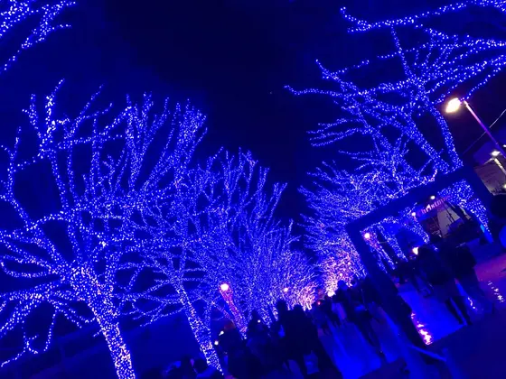 とにかく"青い"