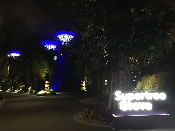 Supretree Grove