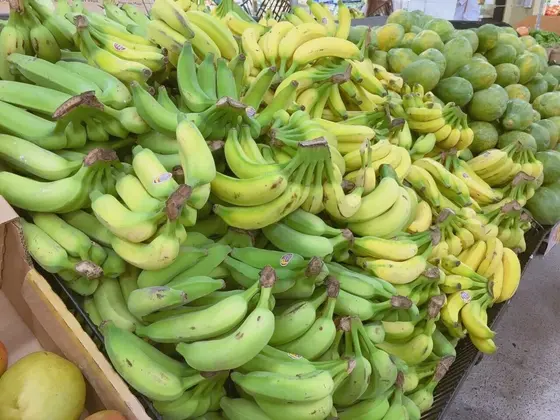 🍌🍌🍌