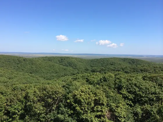 日本最大級の湿原