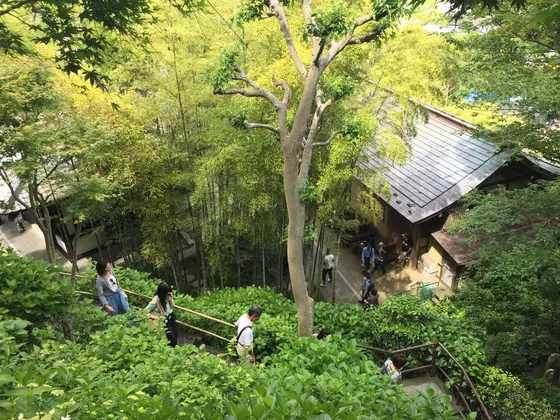 スポット内のおすすめ