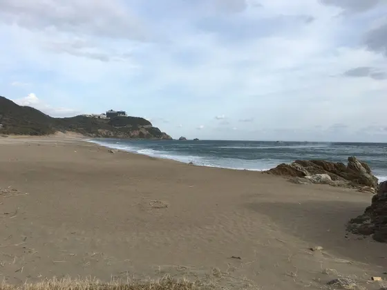 ビーチ