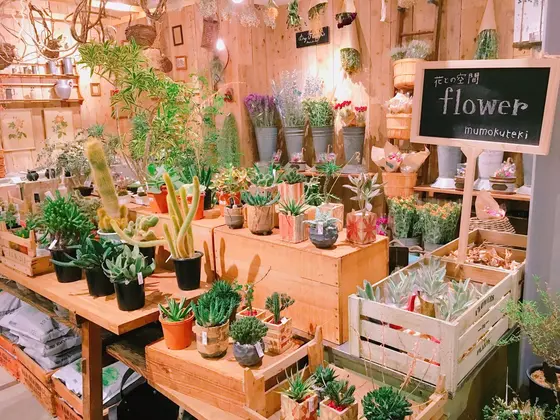 インテリアグリーン