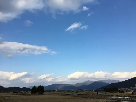 贅沢はステキだ！