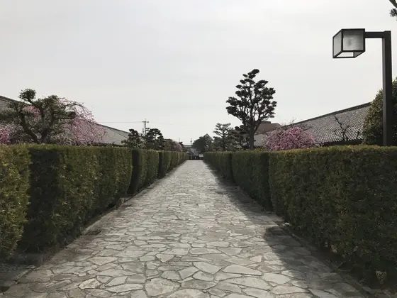 綺麗