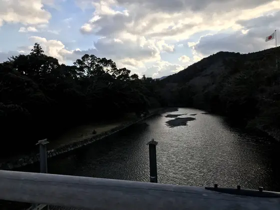 流木どめ