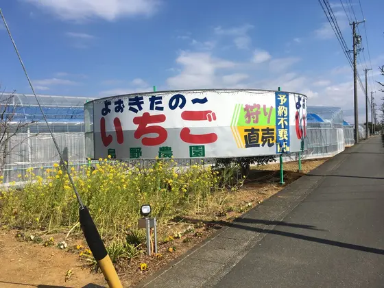 スポット内のおすすめ
