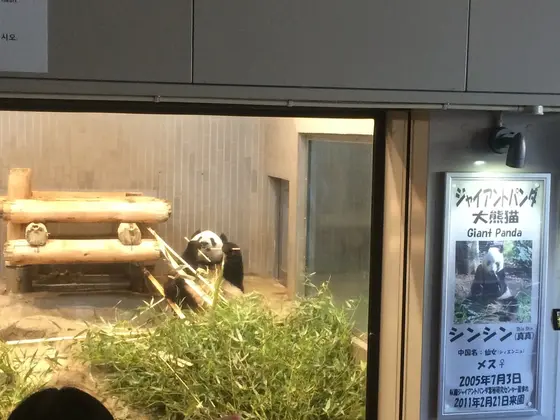 やっぱり見どころは、、