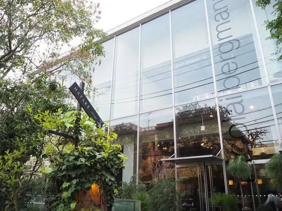 表参道駅🚶‍♀️