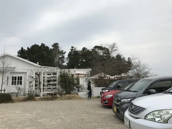sunflowercafe