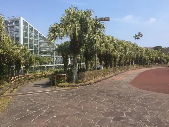 温室への入り口