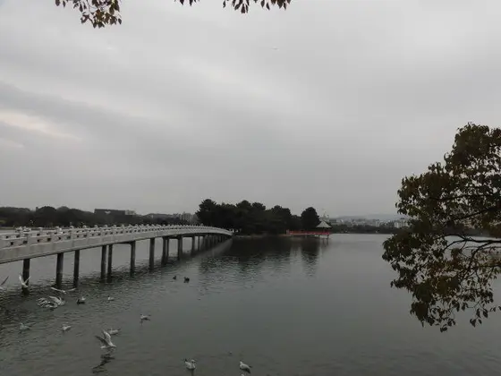 浮見堂