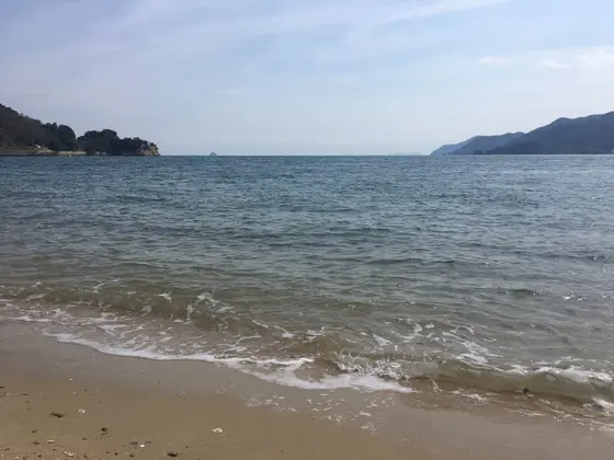 きれいで穏やかな海