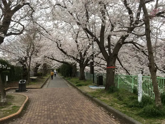遊歩道