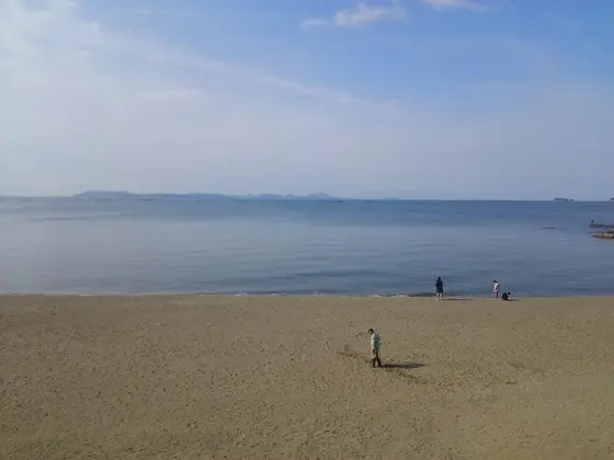 朝の海