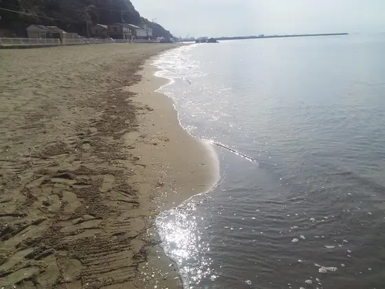ひなが一日ボ～っとしたい浜です