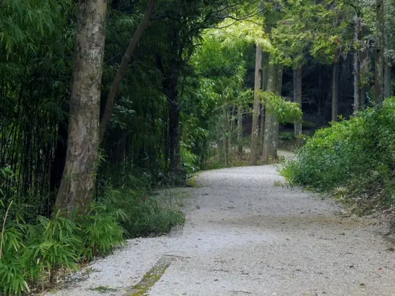 ”しなねの森”めぐり