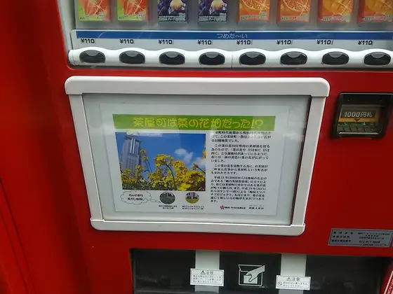 茶屋町は菜の花畑だった！？
