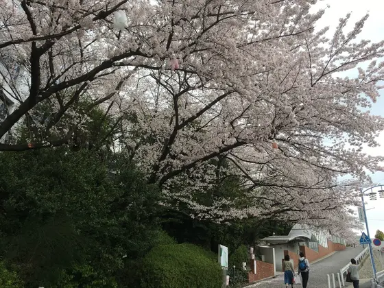 隣りの椙山女学園大