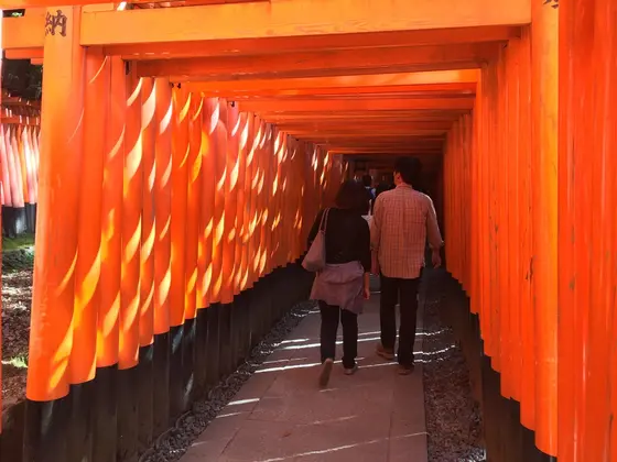 スポット内のおすすめ