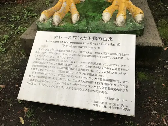 大王鶏