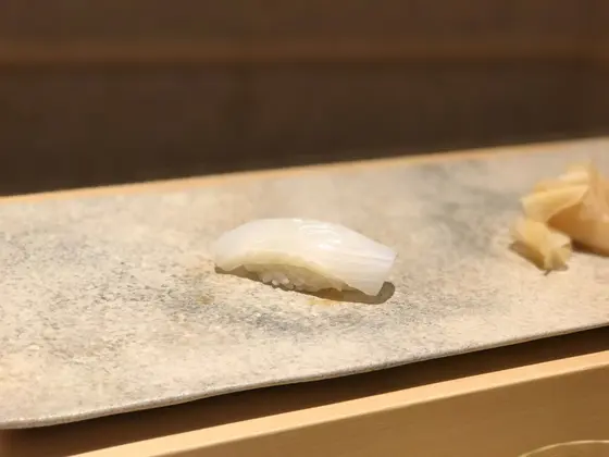 アオリイカ