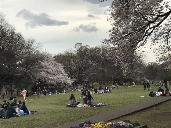 砧公園の中
