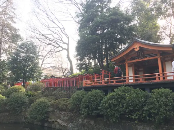 下からみると…