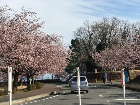 別の角度から…