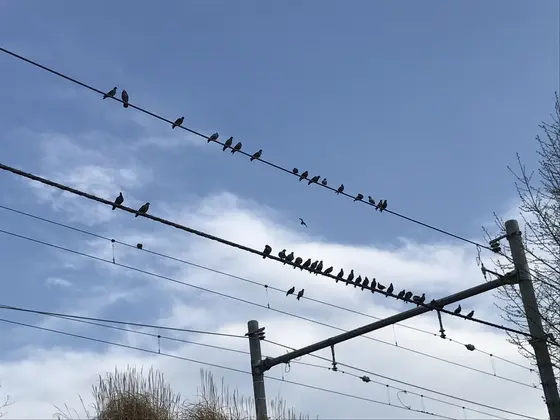 帰り道