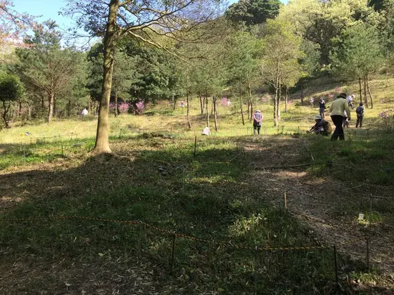 スポット内のおすすめ