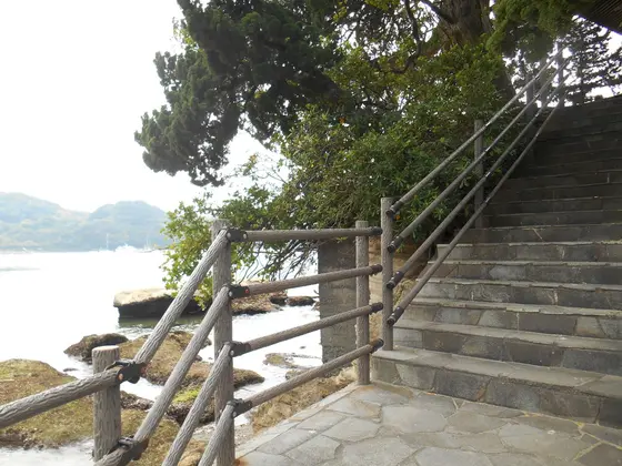 登って行けます！