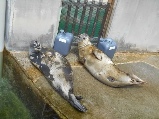 フォトスポット