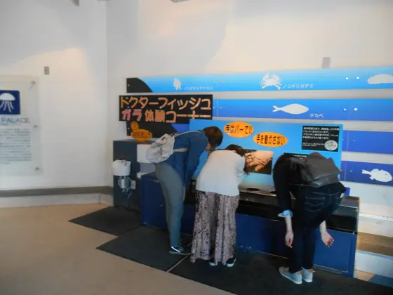 ドクターフィッシュ