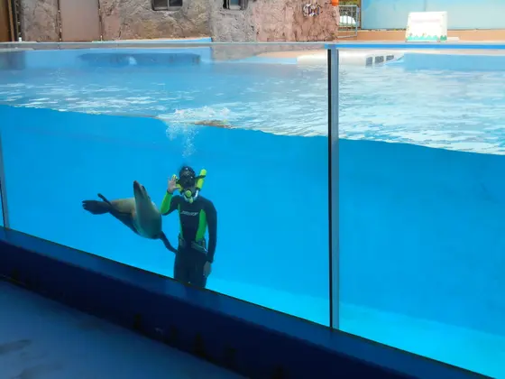 ショーが最高！！