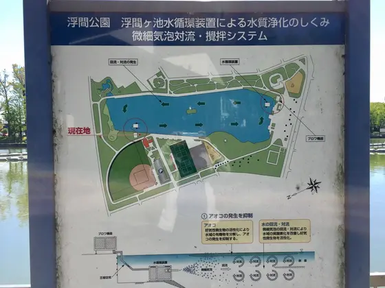水質浄化システムで綺麗になっている大きな池！！だから生き物たくさんなんです。