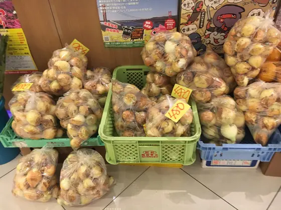 フロントで